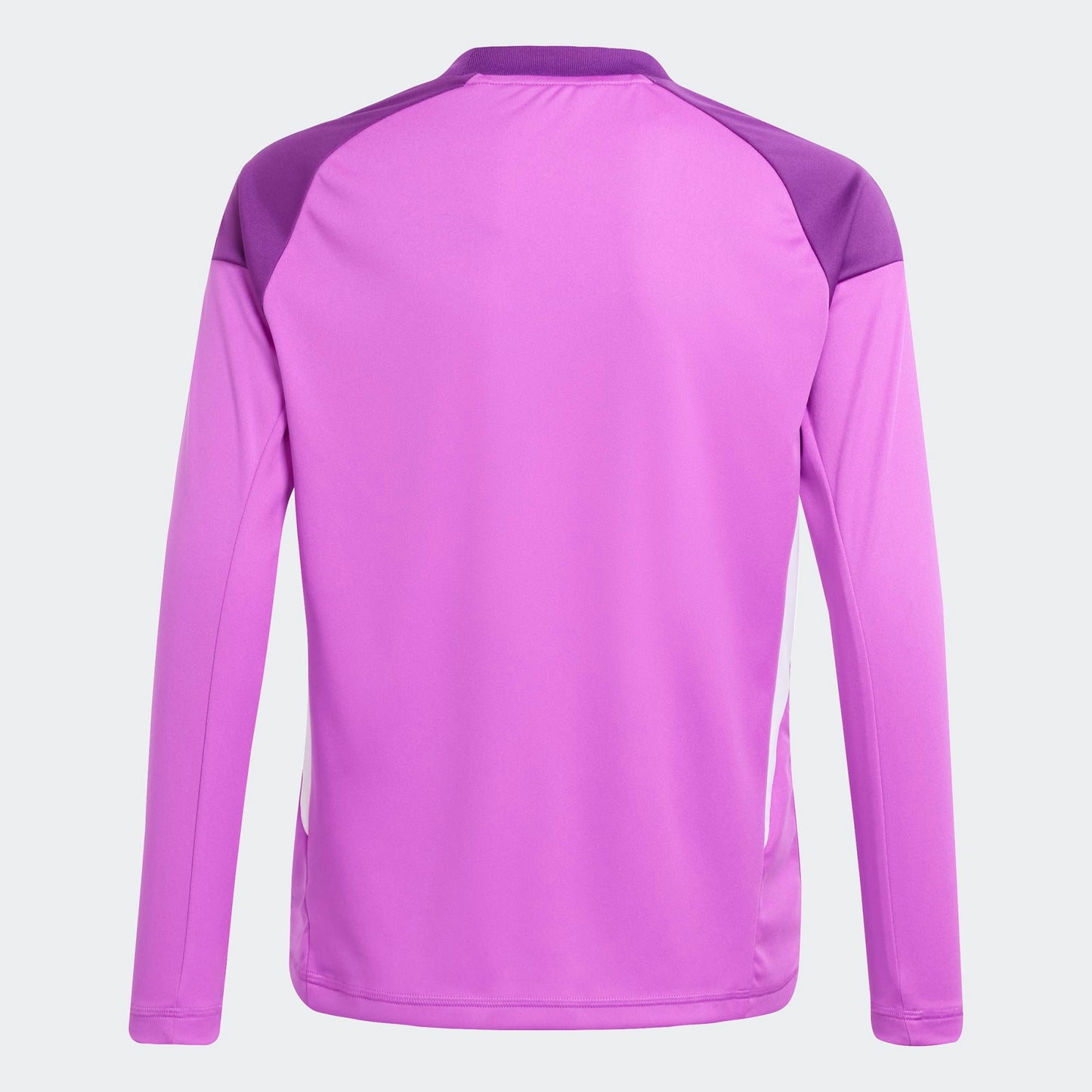 Youth Competition Goalkeeper Jersey Purple