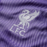 Nike Men's Liverpool FC 23/24 3rd Jersey