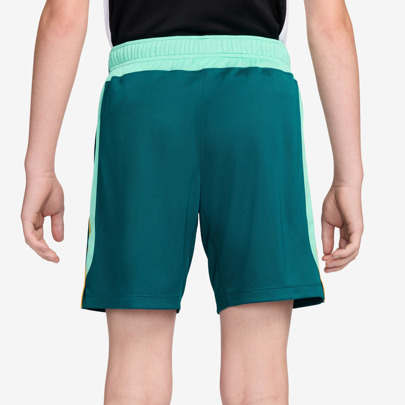 Load image into Gallery viewer, Brazil Academy Pro Kids' Nike Dri-FIT Soccer Shorts
