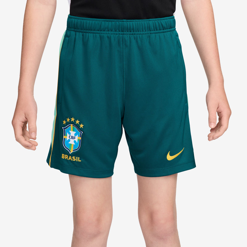 Load image into Gallery viewer, Brazil Academy Pro Kids' Nike Dri-FIT Soccer Shorts
