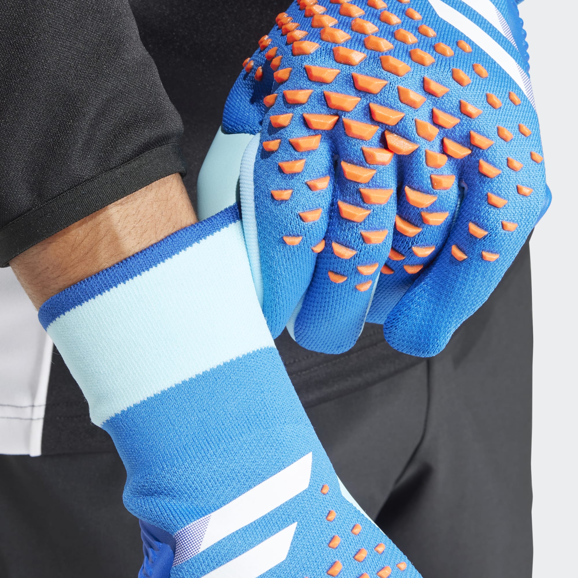 Adidas predator hot sale gloves blue