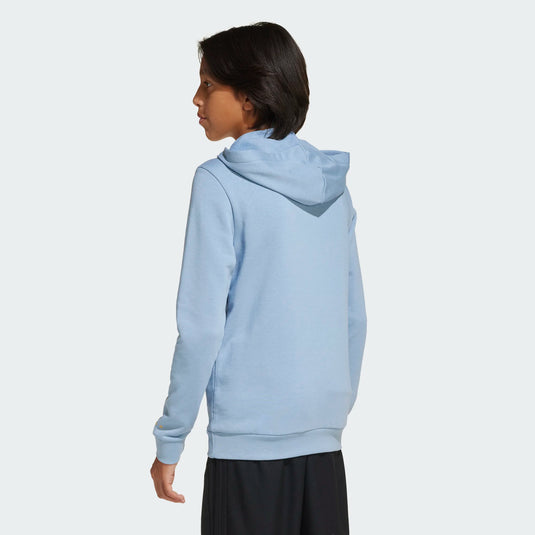 adidas Argentina Anniversary Hoodie Youth