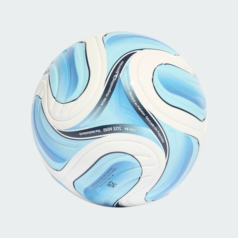 Load image into Gallery viewer, Argentina World Cup 2026 Trionda Mini Soccer Ball
