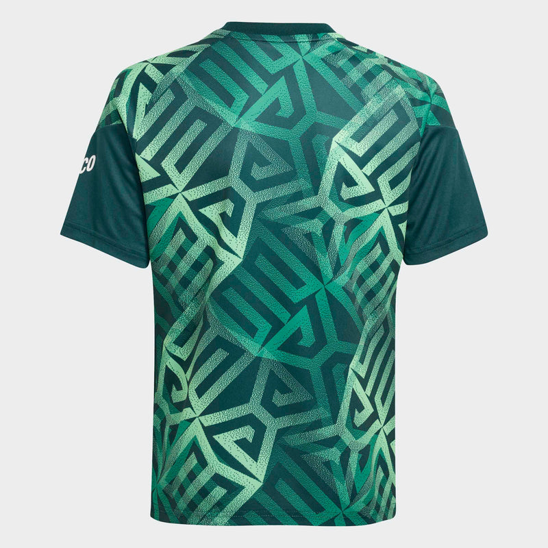 Load image into Gallery viewer, Youth Mexico World Cup 2026 Pre-Match Jersey Green
