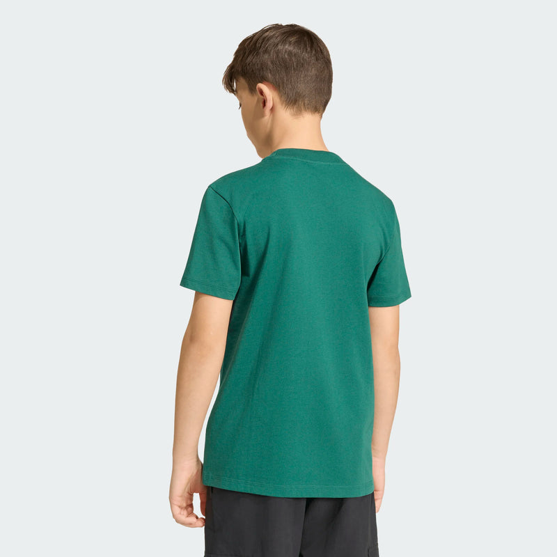 Load image into Gallery viewer, adidas FIFA World Cup 26™ Mexico T-Shirt Kids (Copy) (Copy)
