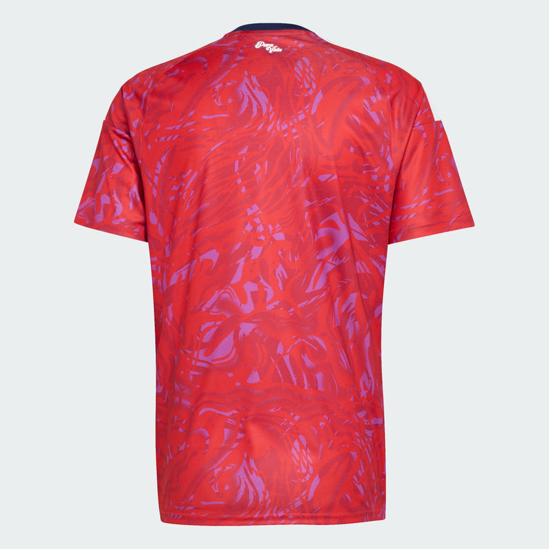 Load image into Gallery viewer, Men's Costa Rica World Cup 2026 Home Jersey

