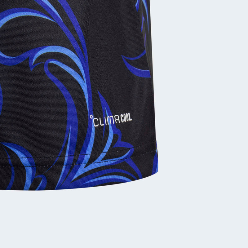 Load image into Gallery viewer, Youth Argentina Away 2026 Jersey
