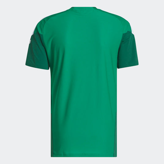 Men's Mexico World Cup 2026 Training Jersey Green
