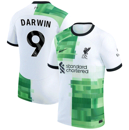 Nike Liverpool FC 2023/24 Stadium Away Jersey Darwin #9