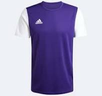 adidas Estro 19 Youth Soccer Jersey Purple