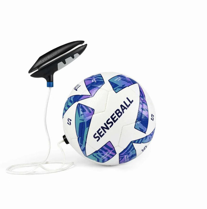 Load image into Gallery viewer, Soccer Kick Trainer All-Levels - SenseBall
