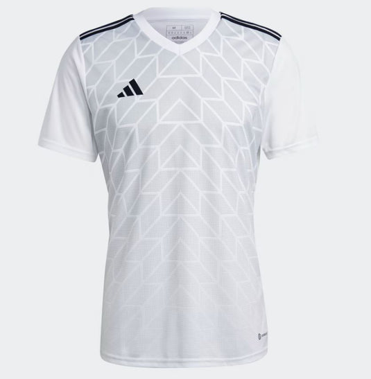 Team Jersey Set of 21  adidas Men's Tiro  Icon 23 Full Team Kit