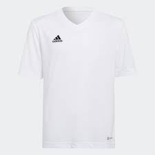 Adidas Men's Entrada 22 Jersey - White